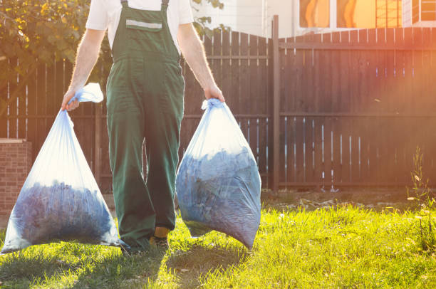 Professional Junk Removal Services in Griggsville, IL